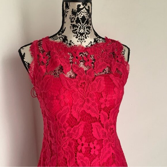 Adrianna Papell Vibrant Pink Lace Dress - Picture 3 of 12